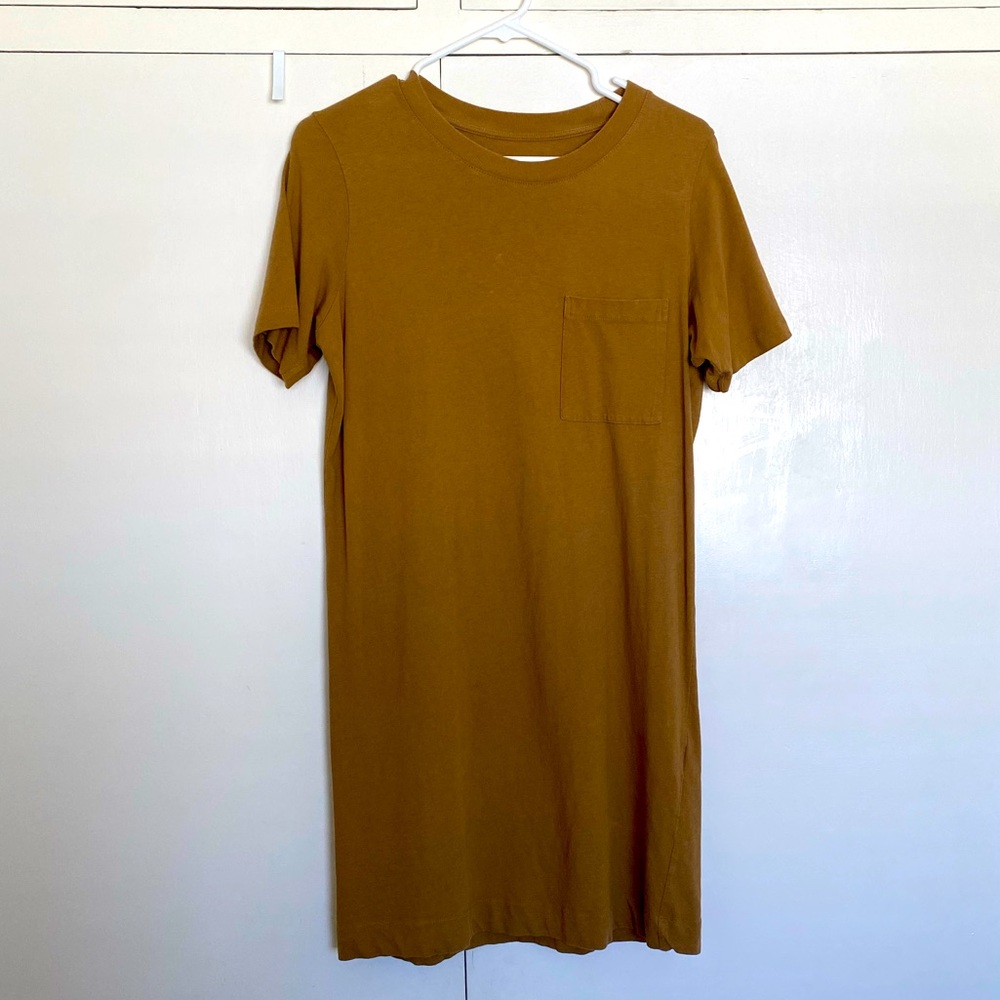 Everlane t-shirt dress.